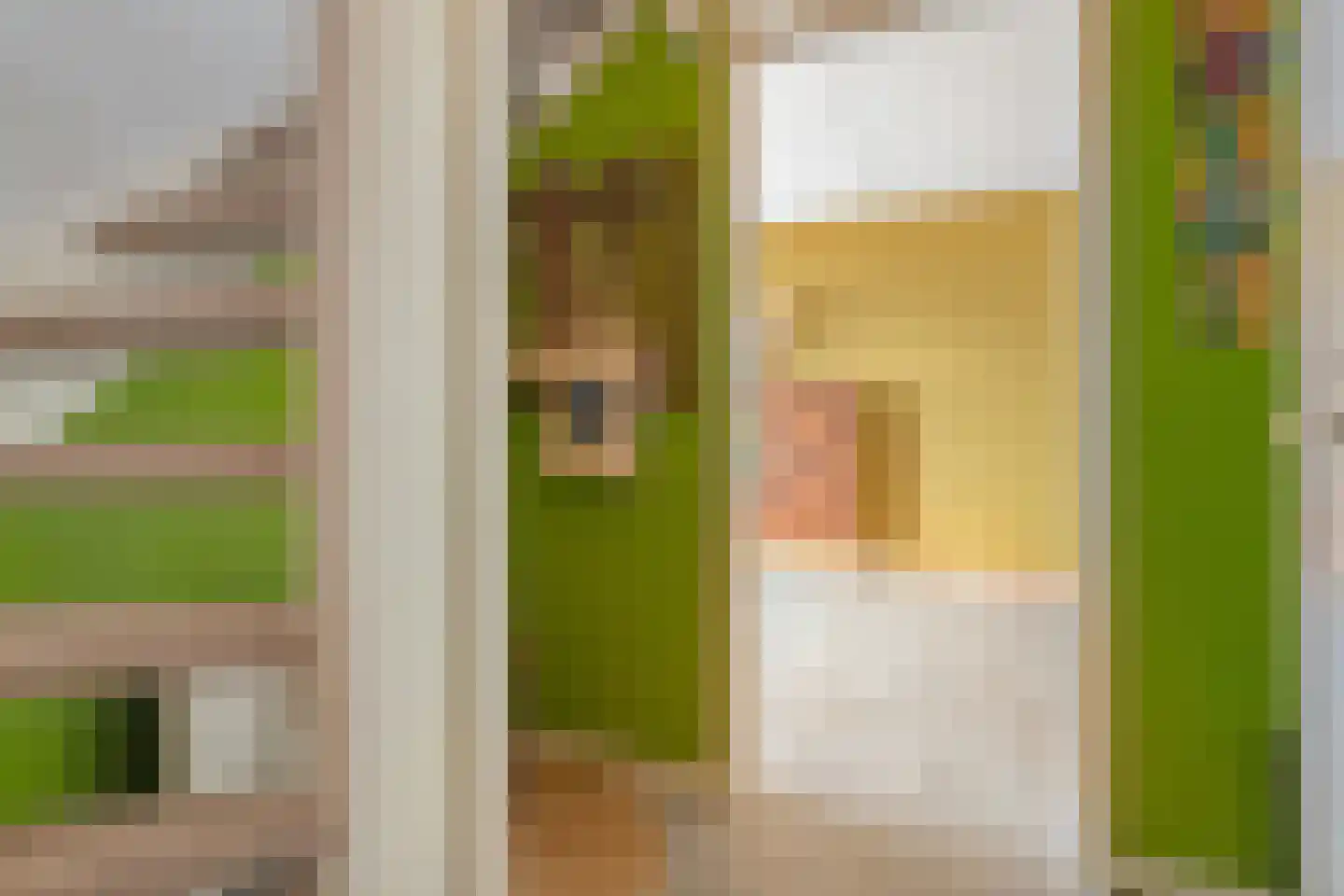 Barmsijs 39 Rijssen thumbnail 12