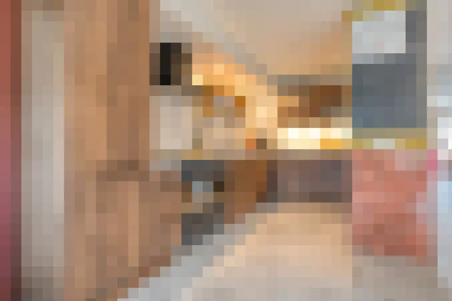 Barmsijs 39 Rijssen thumbnail 21