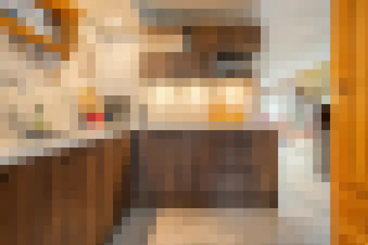 Barmsijs 39 Rijssen thumbnail 22
