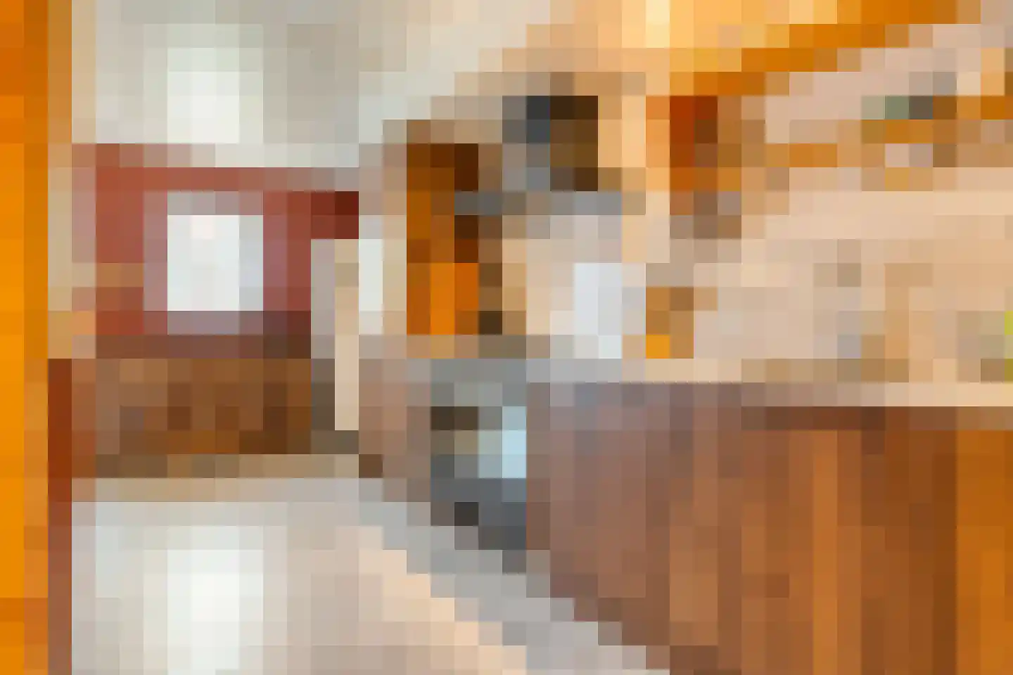 Barmsijs 39 Rijssen thumbnail 23