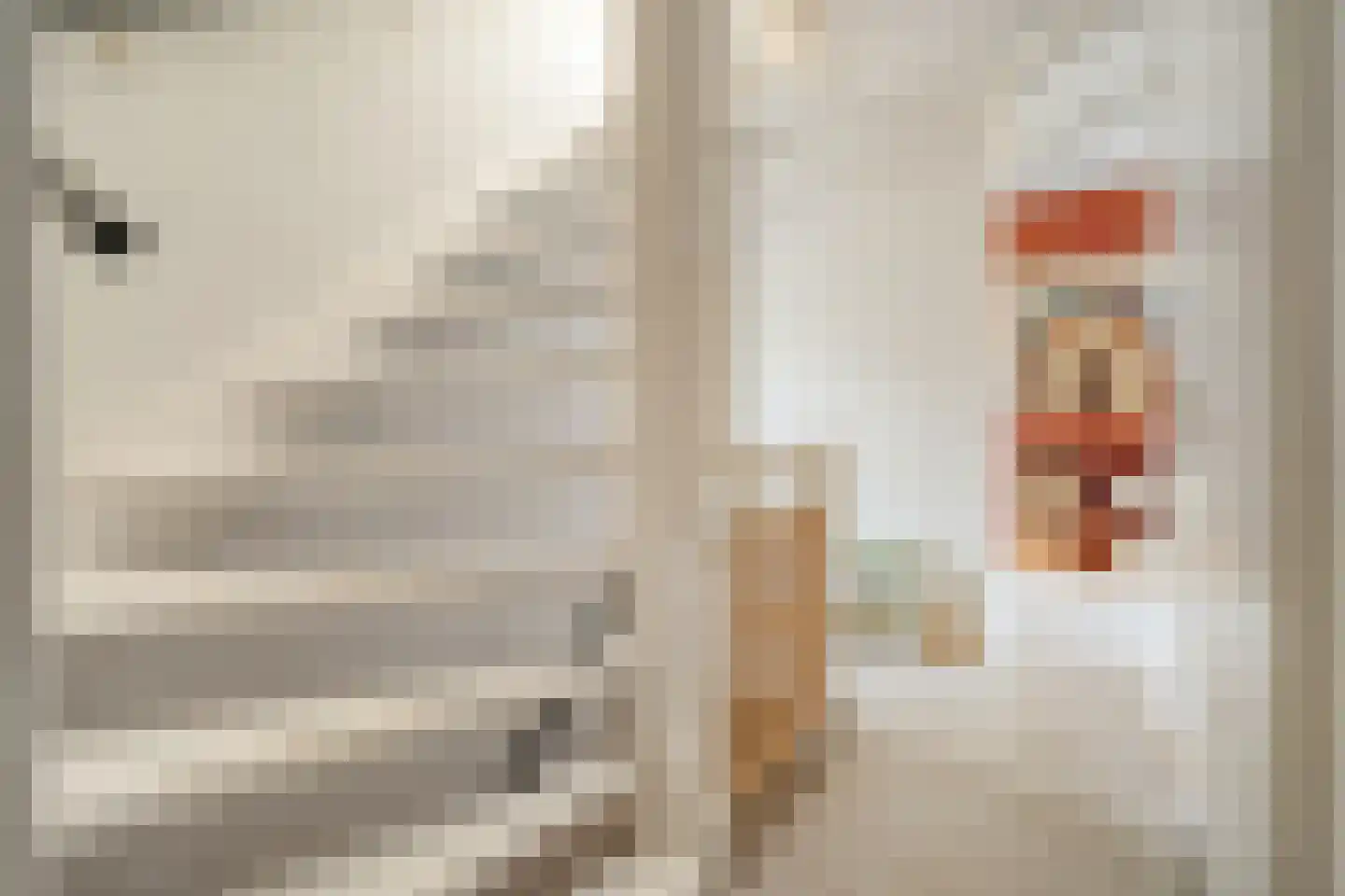 Barmsijs 39 Rijssen thumbnail 27