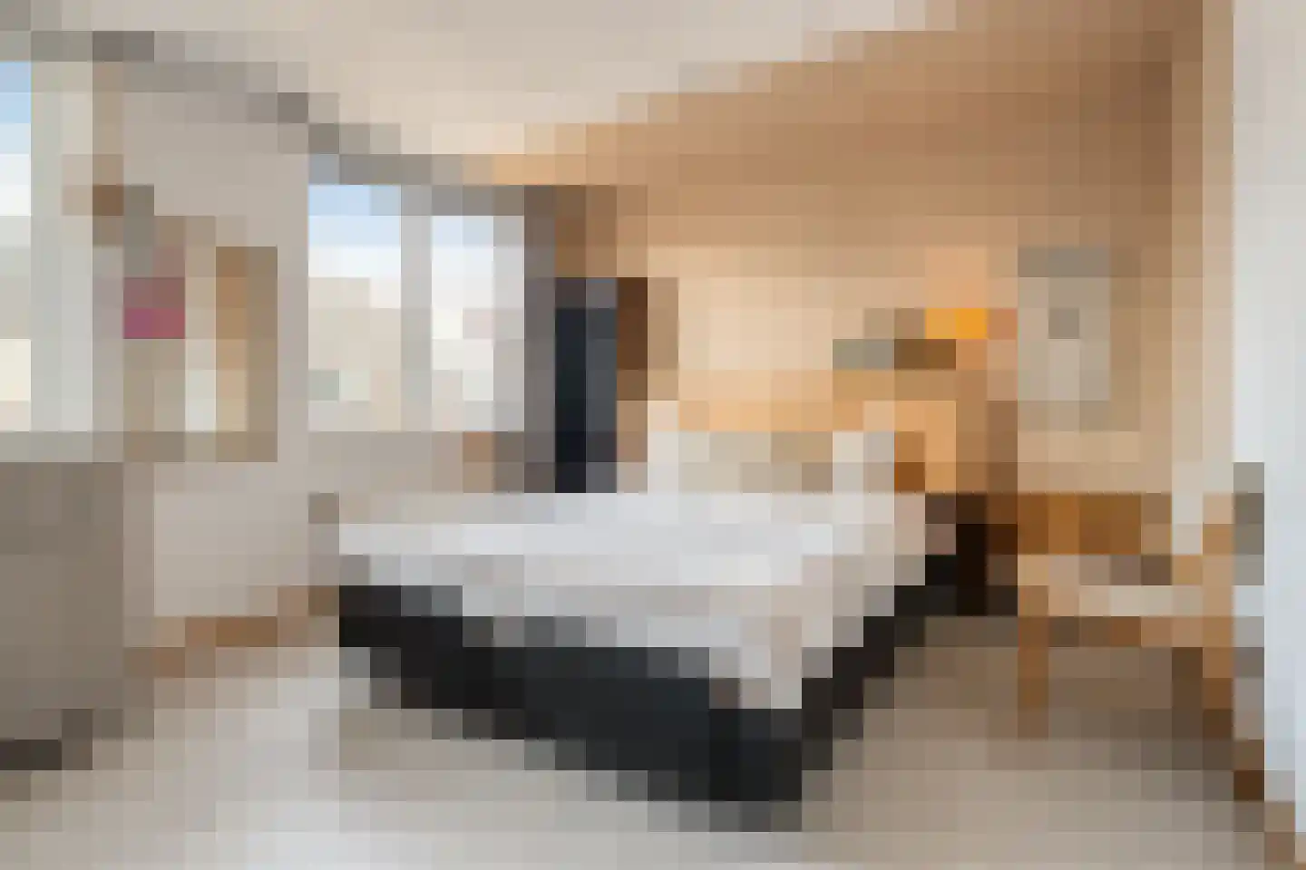 Barmsijs 39 Rijssen thumbnail 28