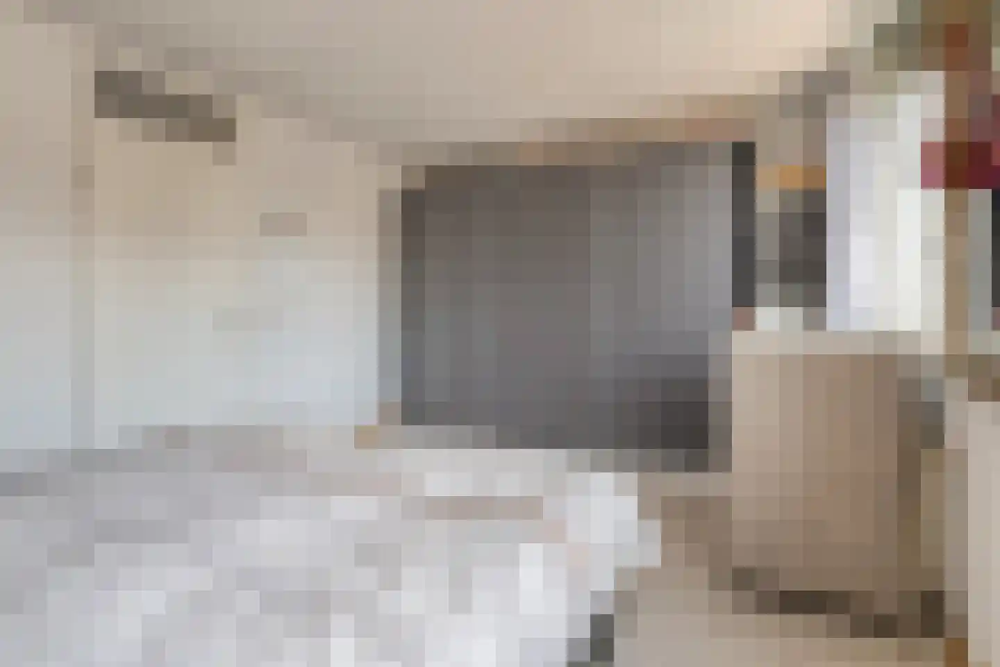 Barmsijs 39 Rijssen thumbnail 29