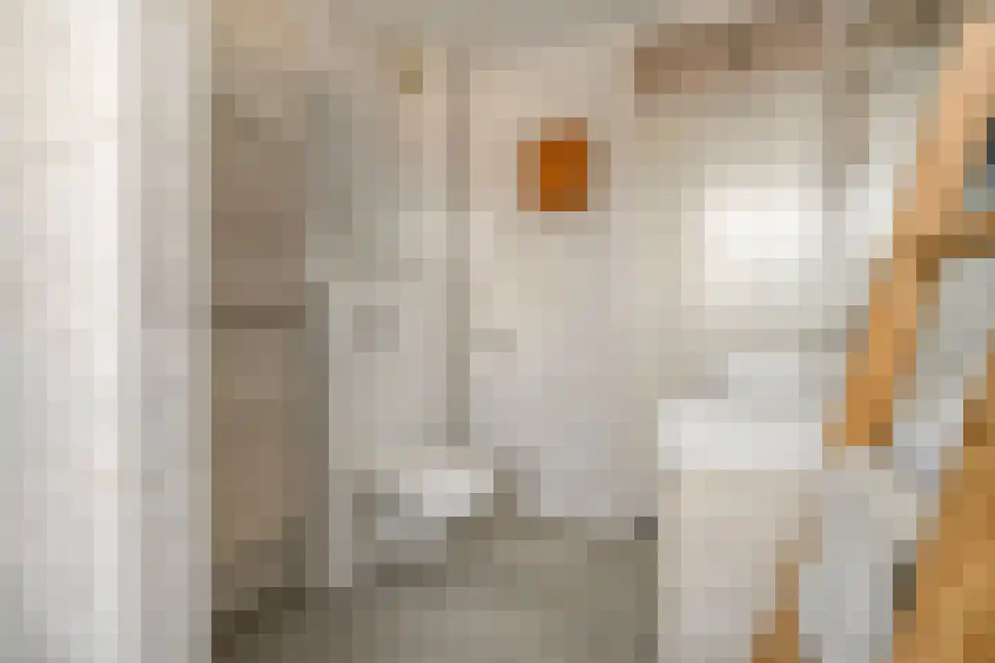 Barmsijs 39 Rijssen thumbnail 39