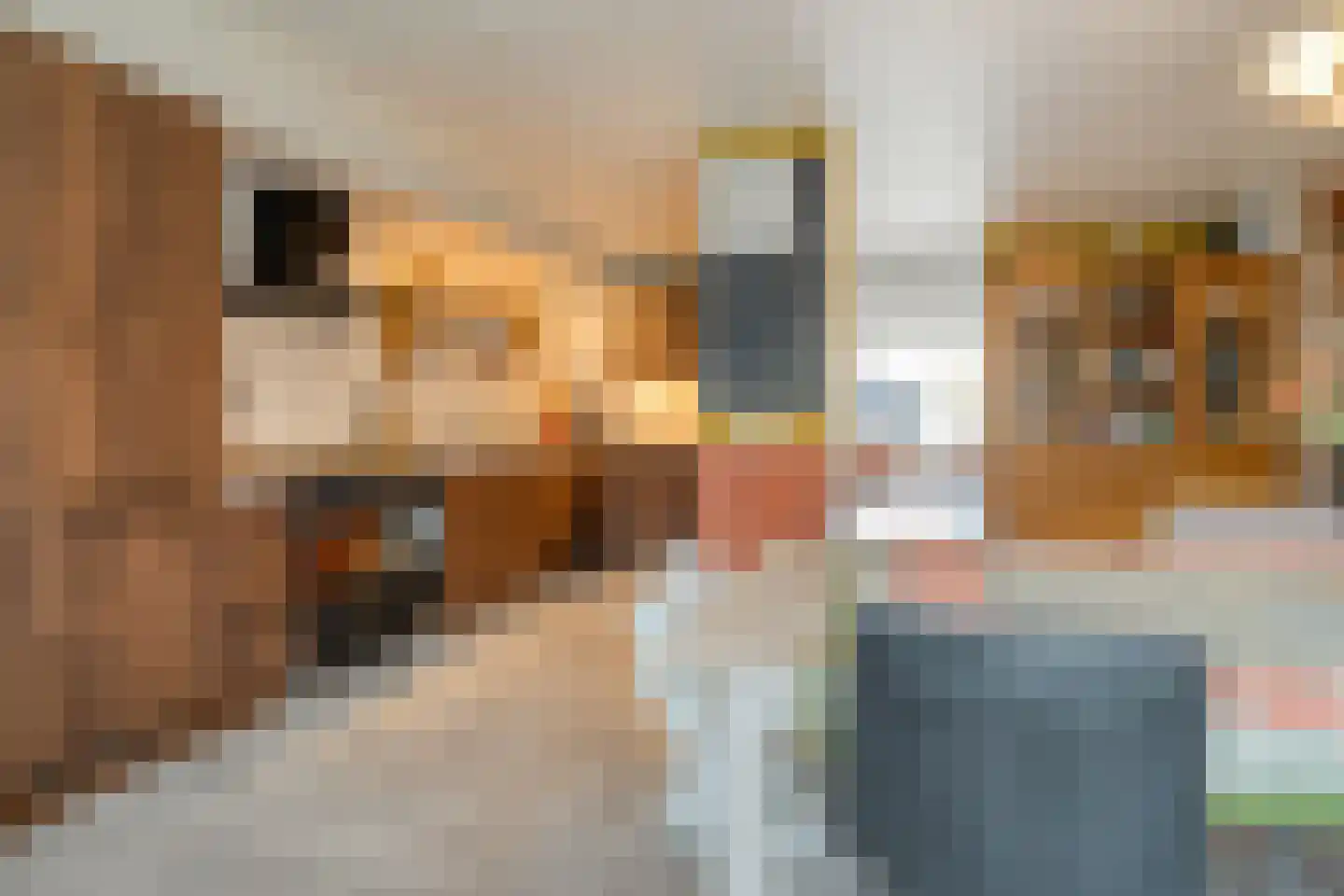 Barmsijs 39 Rijssen thumbnail 4