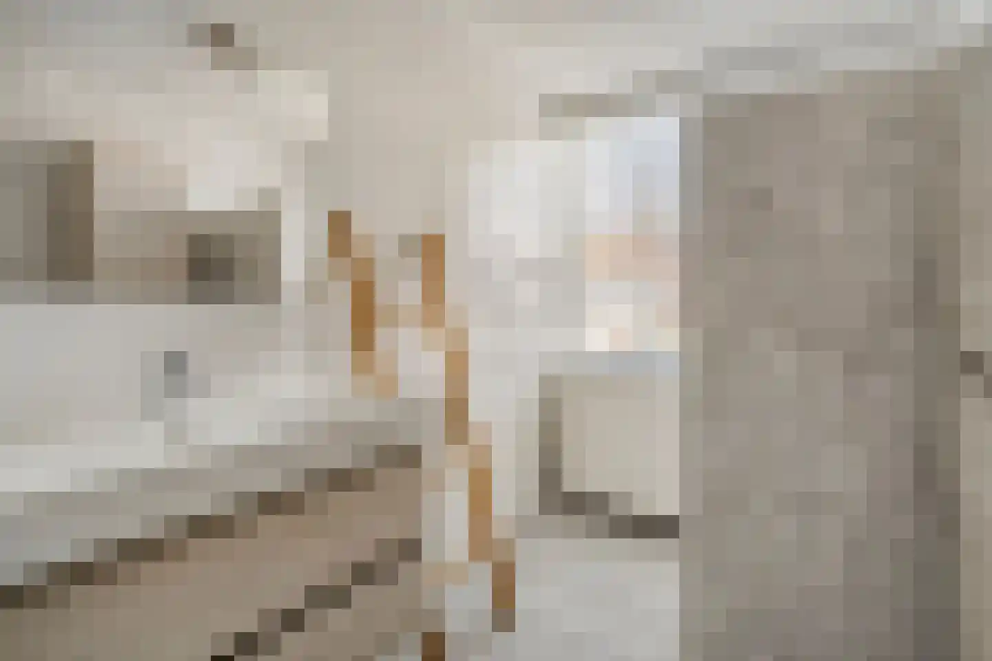 Barmsijs 39 Rijssen thumbnail 40