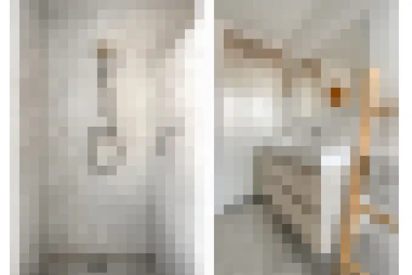 Barmsijs 39 Rijssen thumbnail 41