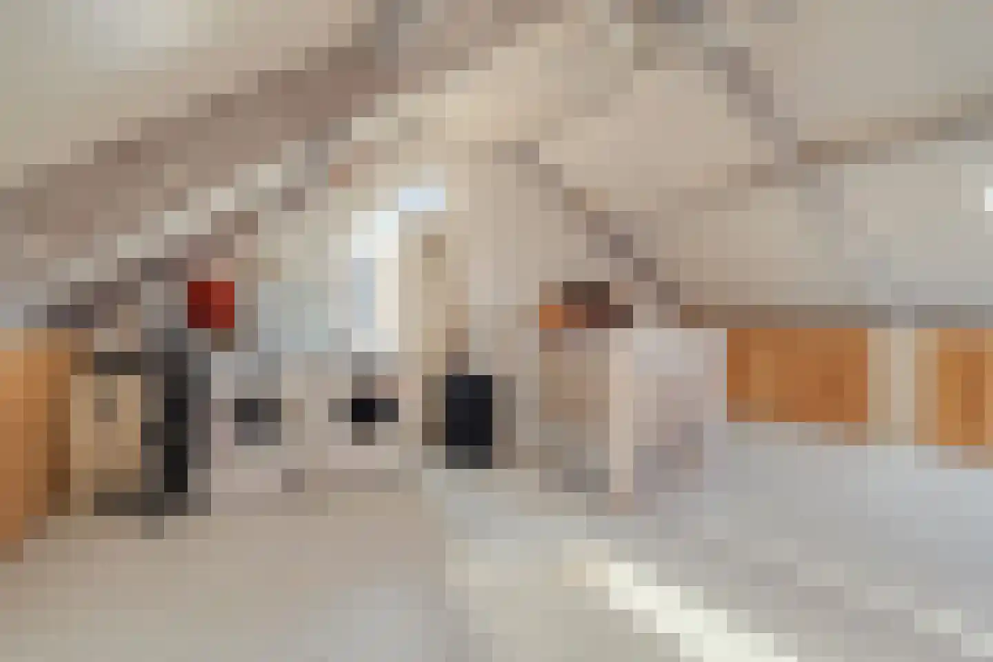 Barmsijs 39 Rijssen thumbnail 42