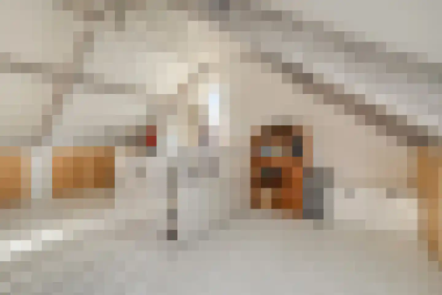 Barmsijs 39 Rijssen thumbnail 43