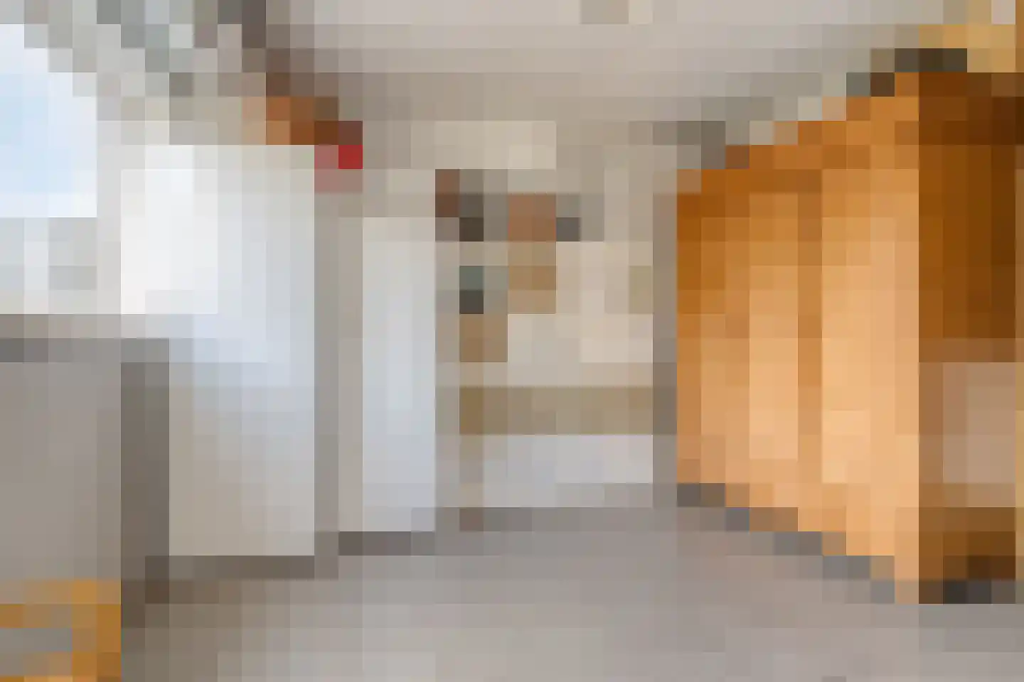 Barmsijs 39 Rijssen thumbnail 44