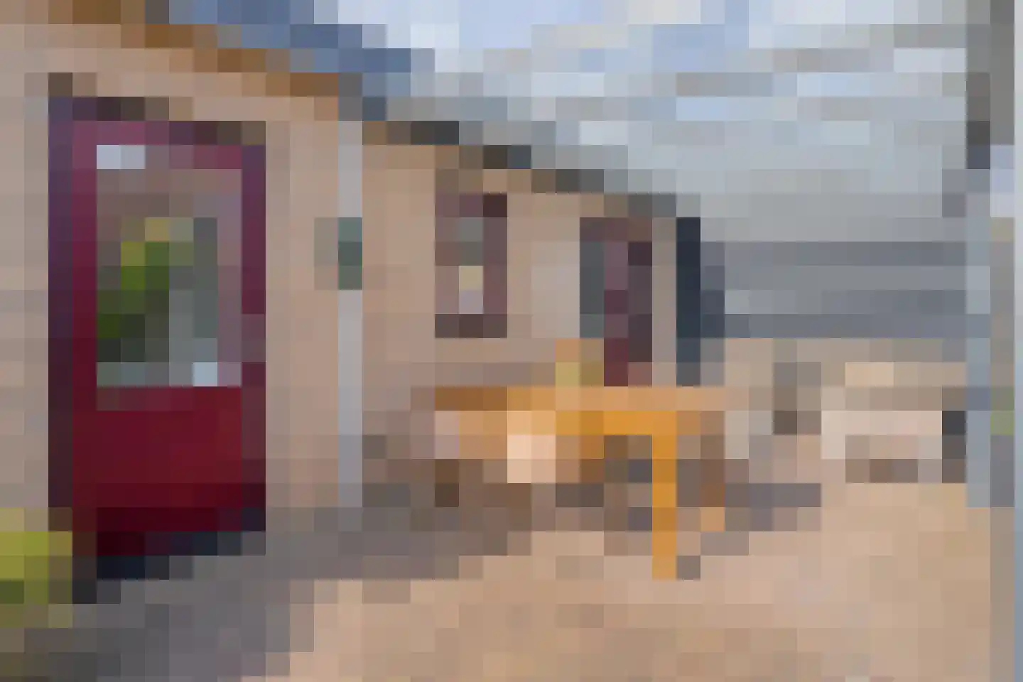 Barmsijs 39 Rijssen thumbnail 47