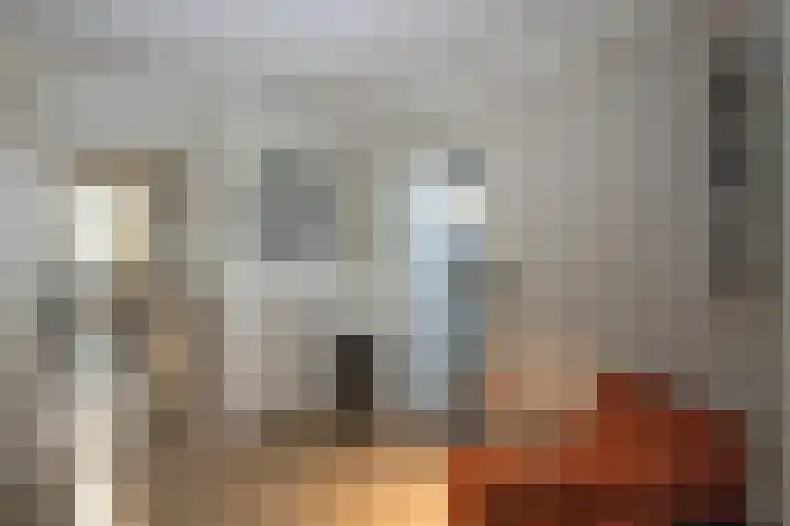 Barmsijs 76 Rijssen thumbnail 13