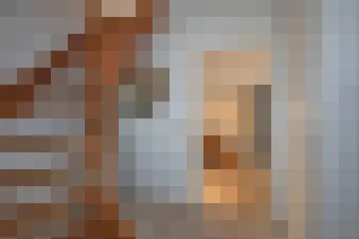 Barmsijs 76 Rijssen thumbnail 15
