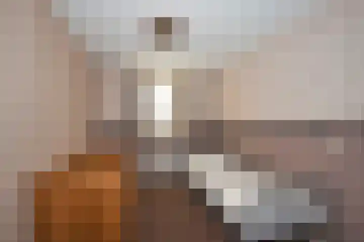 Barmsijs 76 Rijssen thumbnail 22