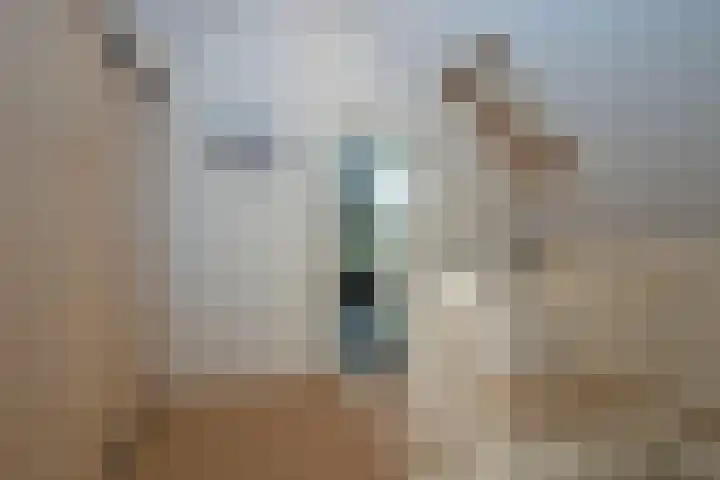 Barmsijs 76 Rijssen thumbnail 24