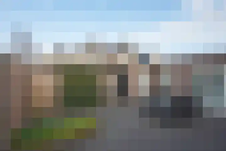 Barmsijs 76 Rijssen thumbnail 30
