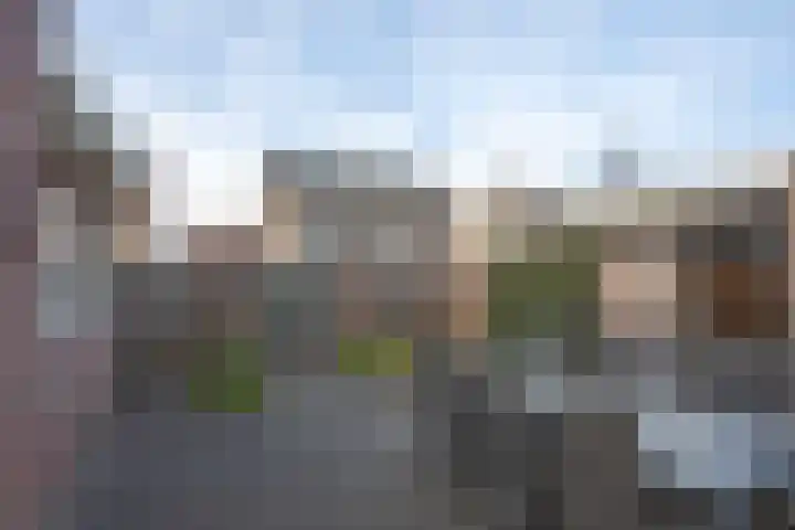 Barmsijs 76 Rijssen thumbnail 31