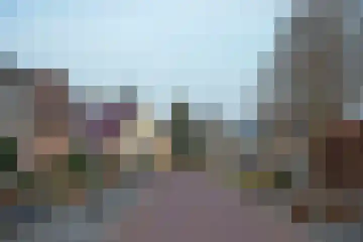 Barmsijs 76 Rijssen thumbnail 33