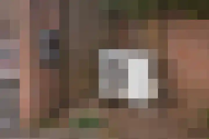 Barmsijs 76 Rijssen thumbnail 34