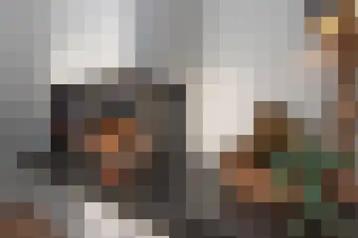 Barmsijs 76 Rijssen thumbnail 4