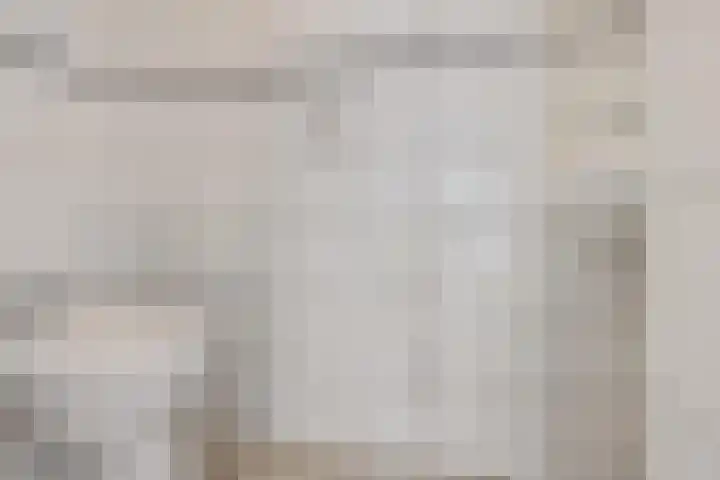 Barnar 155 Emmen thumbnail 12