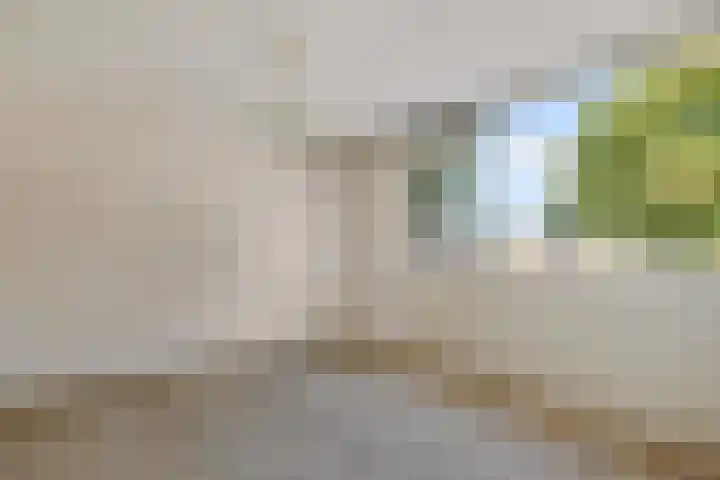 Barnar 155 Emmen thumbnail 15