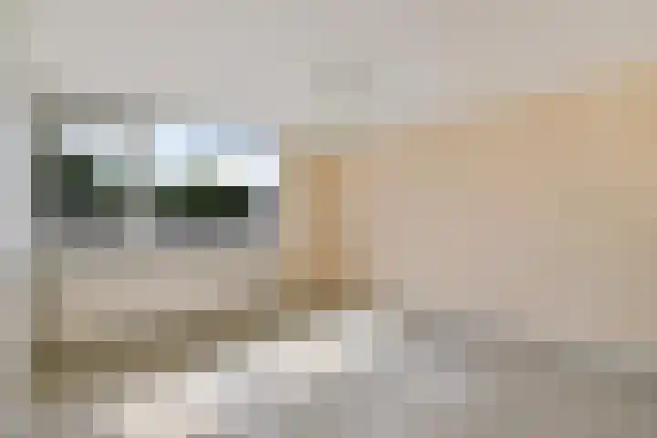 Barnar 155 Emmen thumbnail 17