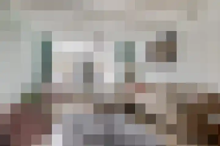 Barnar 155 Emmen foto 3