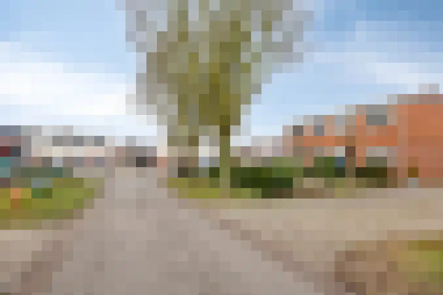 Barnar 32 Emmen thumbnail 40