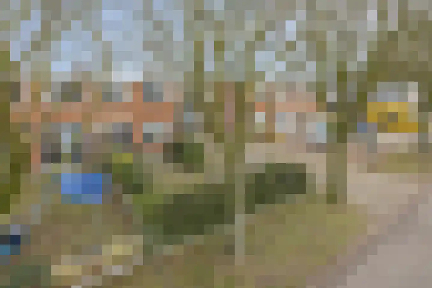 Barnar 32 Emmen thumbnail 6