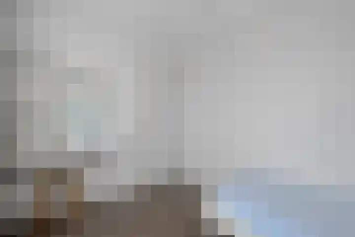 Barnar 88 Emmen thumbnail 25