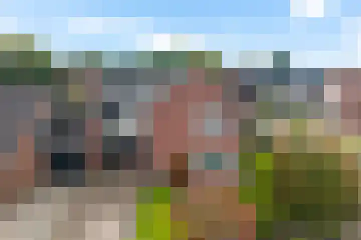 Barnar 88 Emmen thumbnail 38