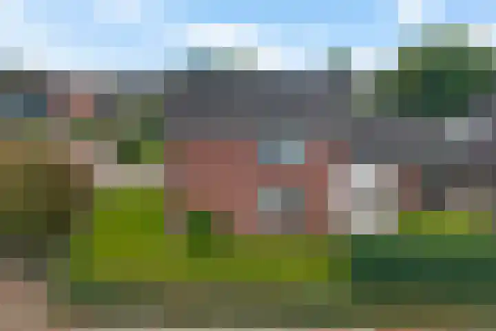 Barnar 88 Emmen thumbnail 40