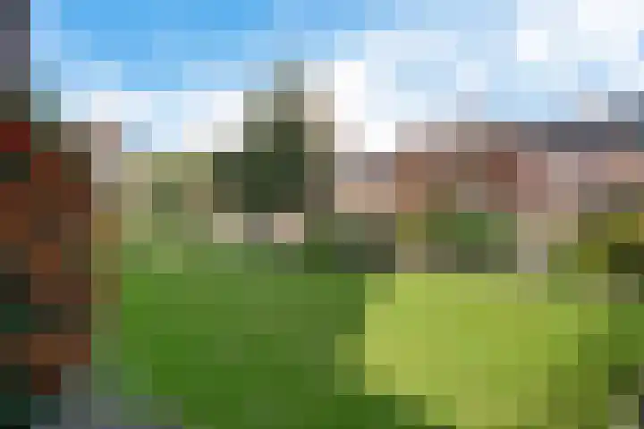 Barnar 88 Emmen thumbnail 45