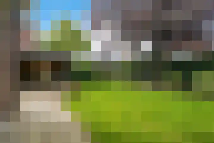 Barnar 88 Emmen thumbnail 48