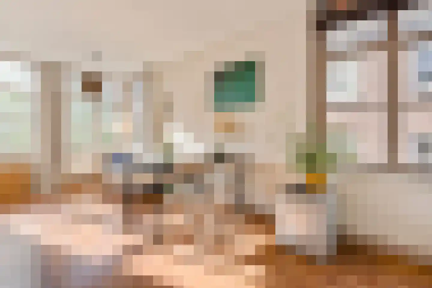 Barndesteeg 33 Amsterdam thumbnail 18