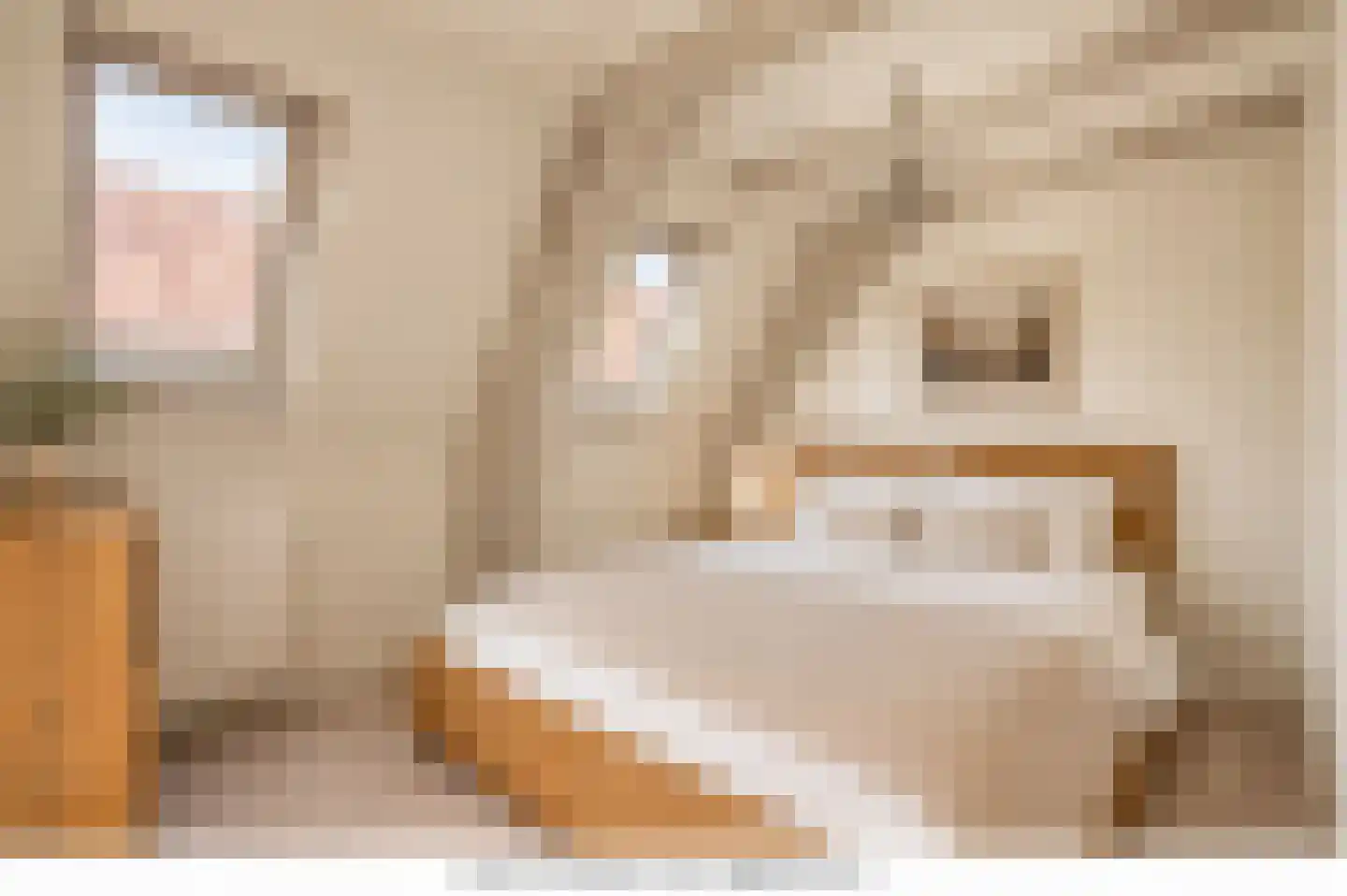 Barndesteeg 33 Amsterdam thumbnail 31