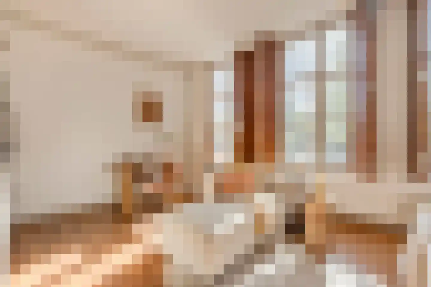 Barndesteeg 33 Amsterdam thumbnail 7