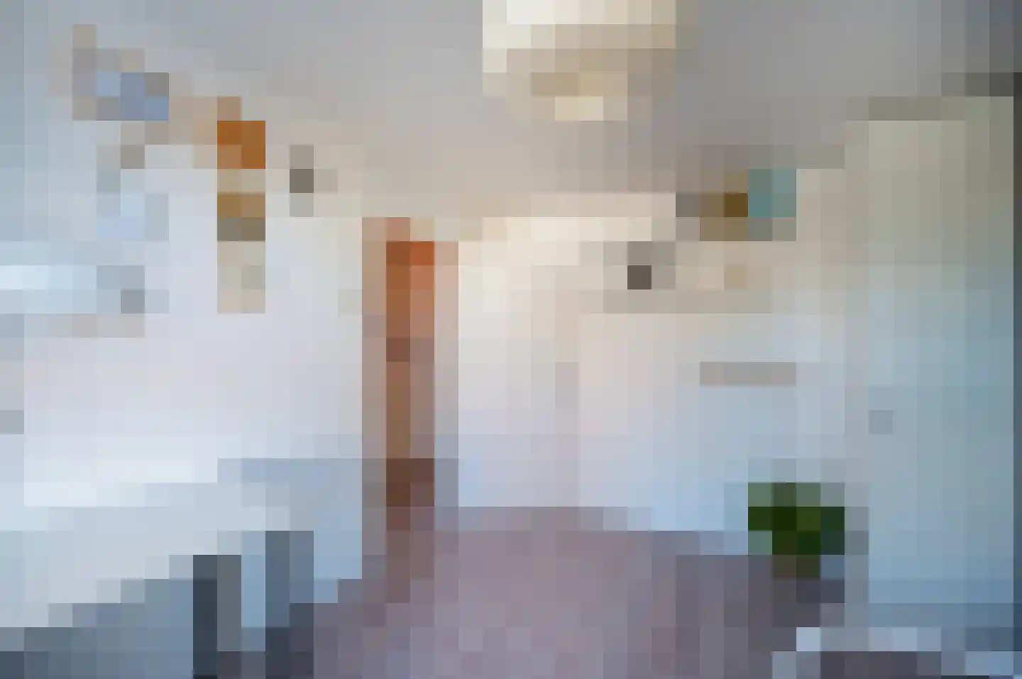 Barneveldpad 21 Almere thumbnail 21