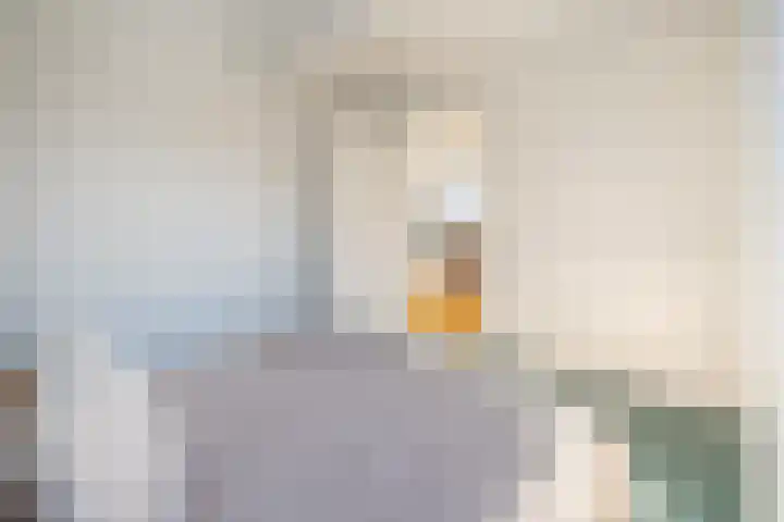 Barneveldpad 31 Almere thumbnail 17