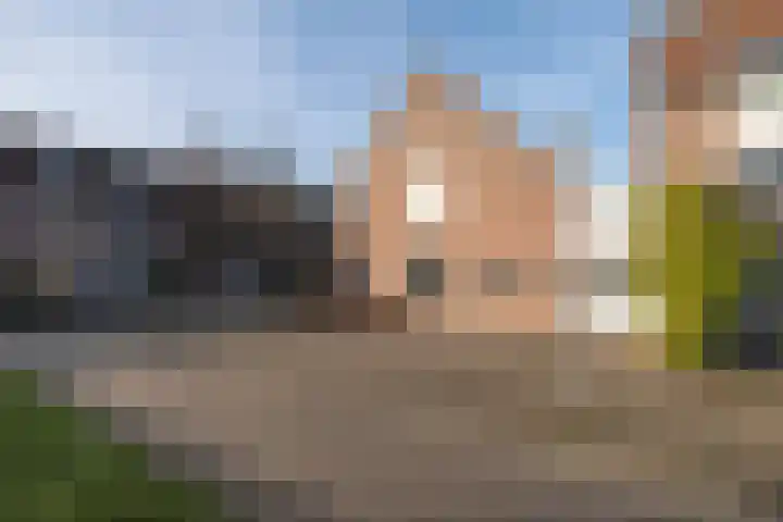 Barneveldpad 31 Almere thumbnail 38