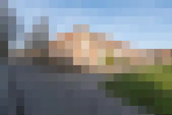 Barneveldpad 31 Almere thumbnail 39