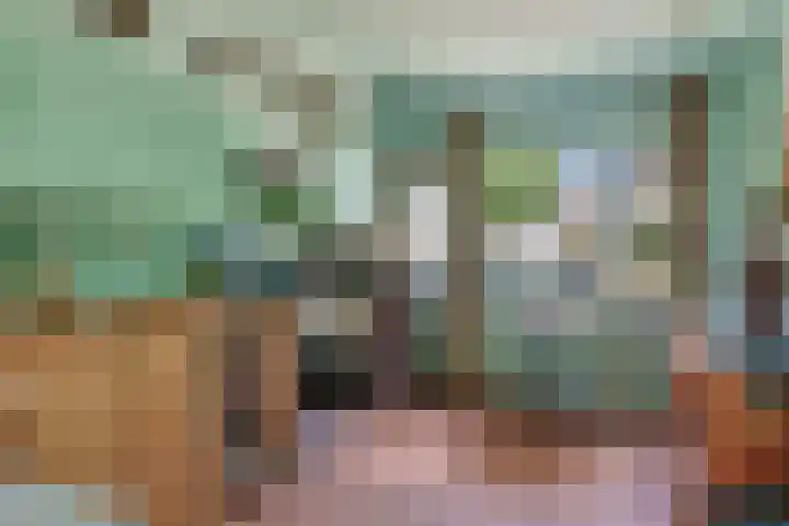 Barneveldsebeek 8 Zwolle thumbnail 10
