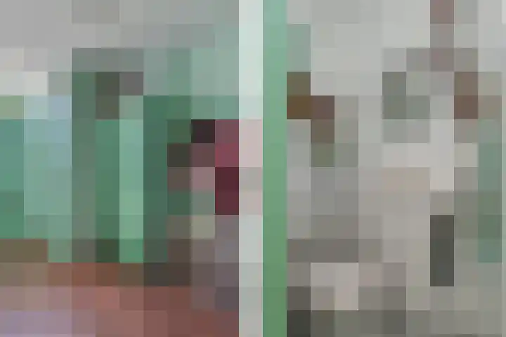 Barneveldsebeek 8 Zwolle thumbnail 12
