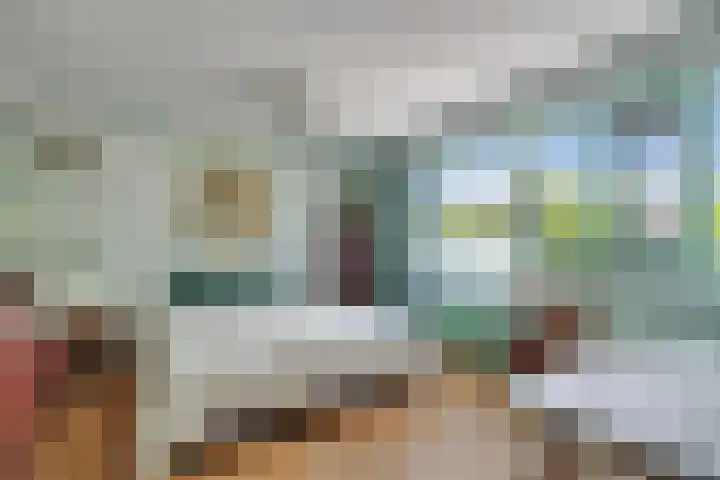Barneveldsebeek 8 Zwolle thumbnail 14