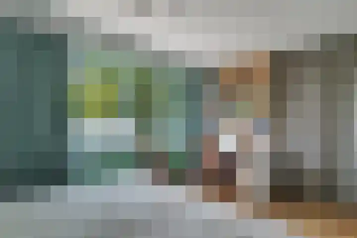 Barneveldsebeek 8 Zwolle thumbnail 16