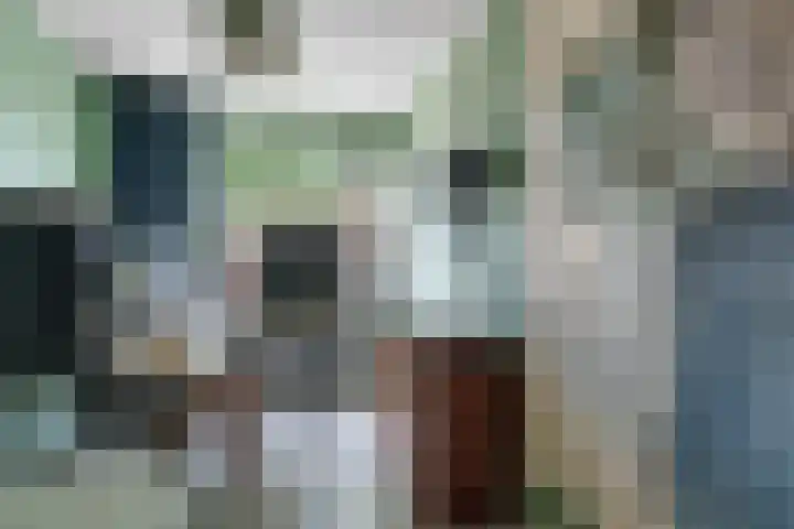 Barneveldsebeek 8 Zwolle thumbnail 20