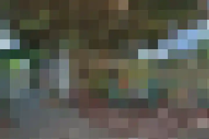 Barneveldsebeek 8 Zwolle thumbnail 23
