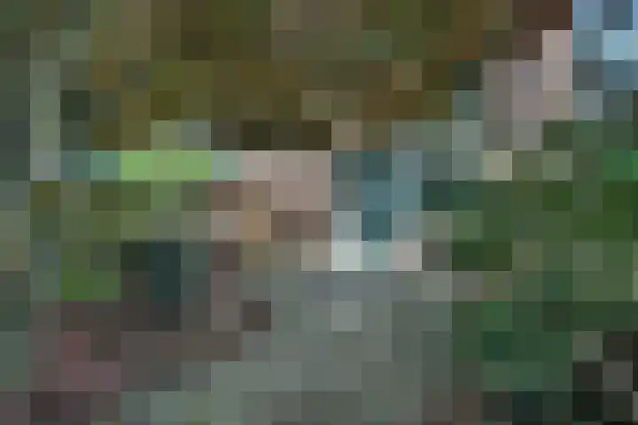 Barneveldsebeek 8 Zwolle thumbnail 24