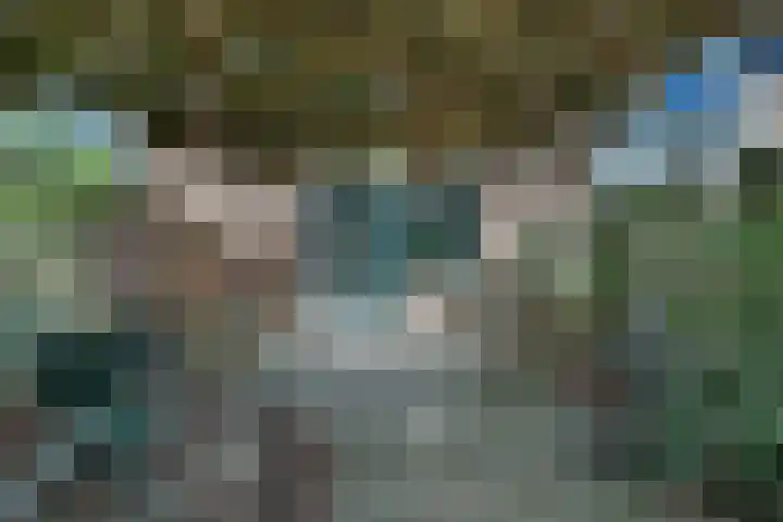 Barneveldsebeek 8 Zwolle thumbnail 26